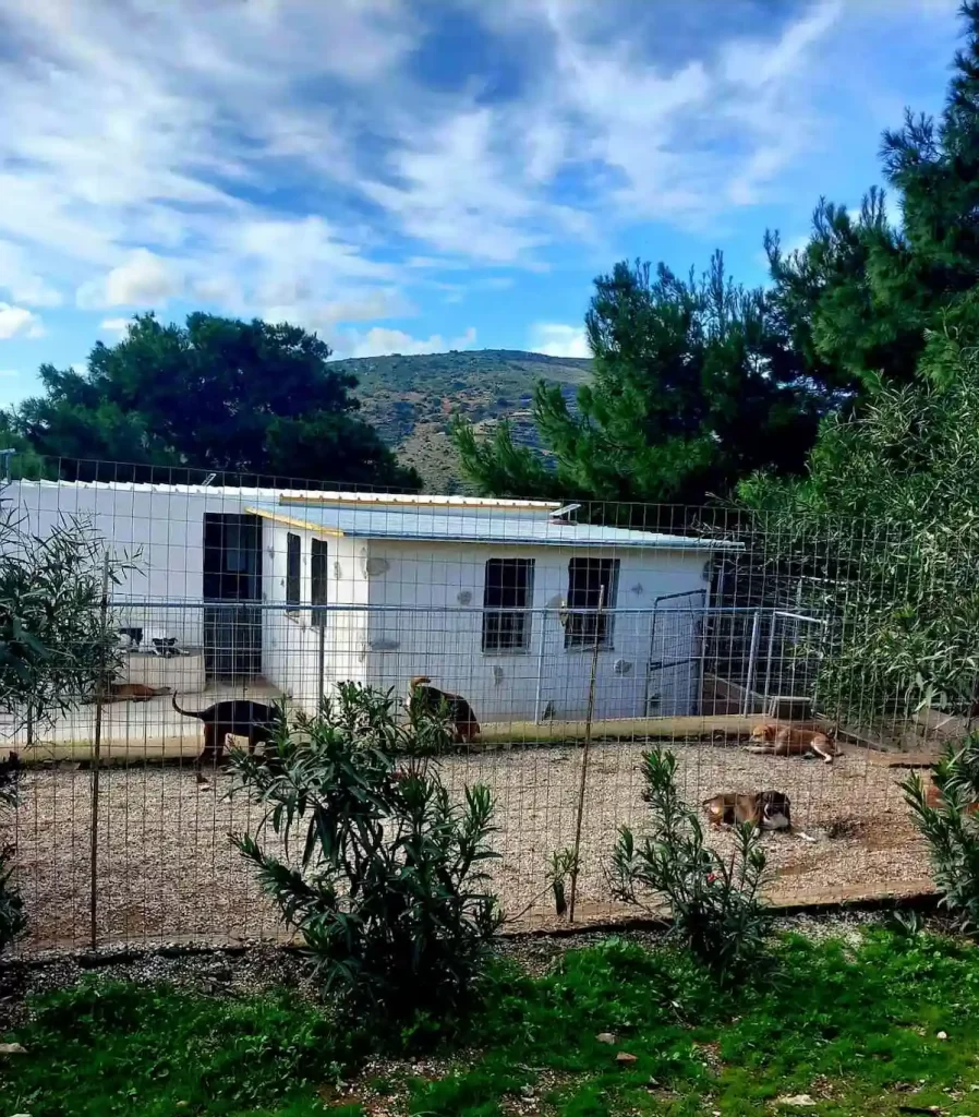 Animals shelter Leros