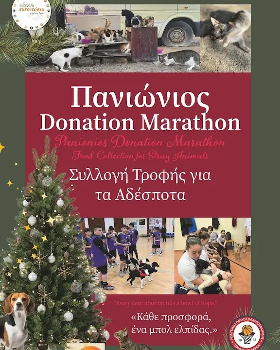 panionios christmas strays