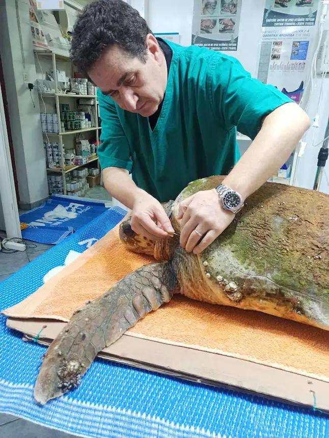 kontrafouris vet leros interview