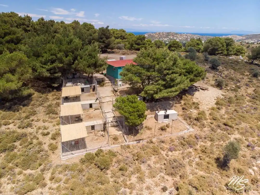 Leros Dog shelter