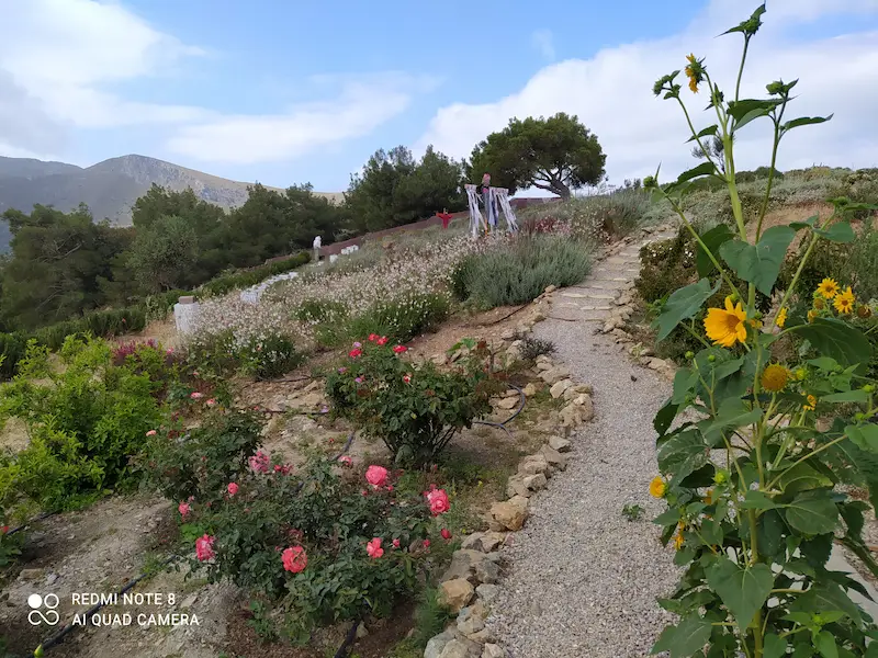Caserma - herb farm Leros