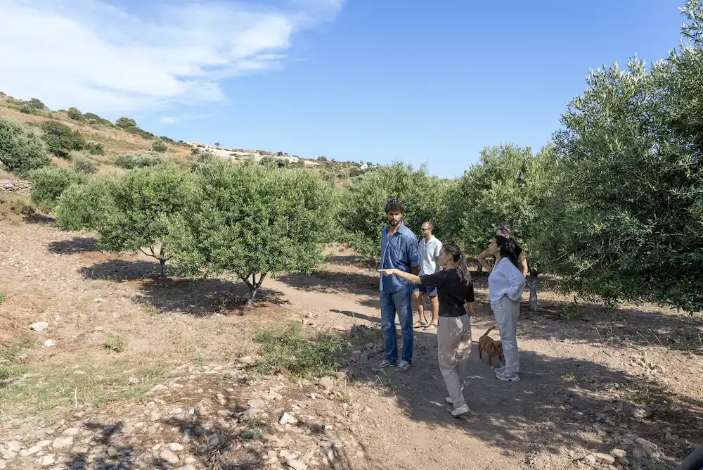 Olive Oil Workshop (2)